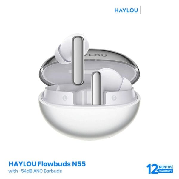 HAYLOU Flowbuds N55