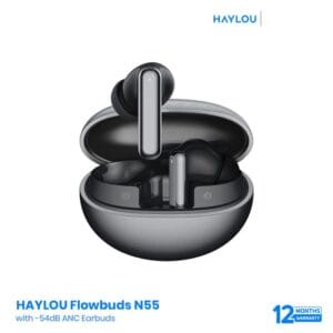 HAYLOU Flowbuds N55