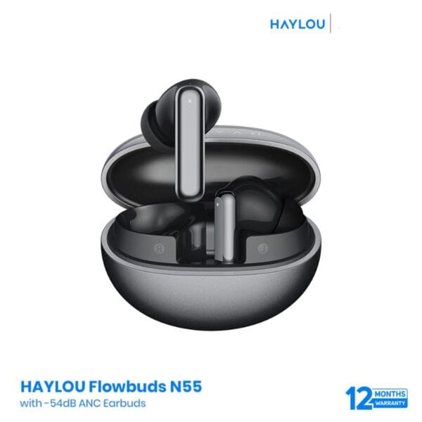 HAYLOU Flowbuds N55