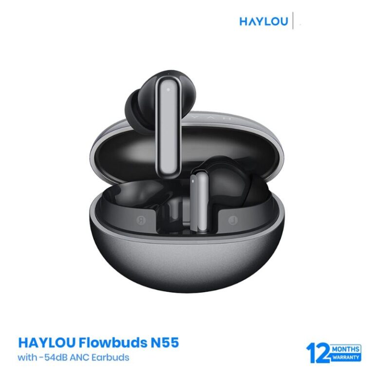 HAYLOU Flowbuds N55
