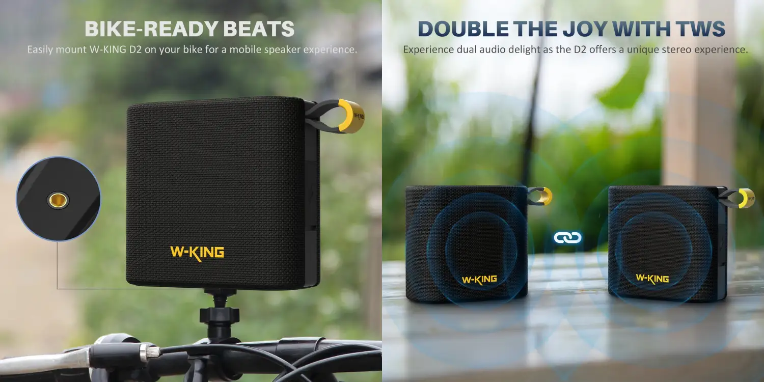 W-KING D2