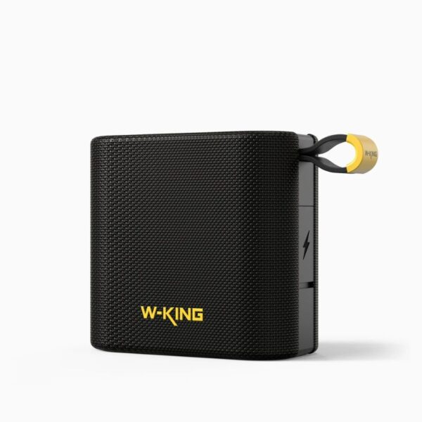 W-KING D2