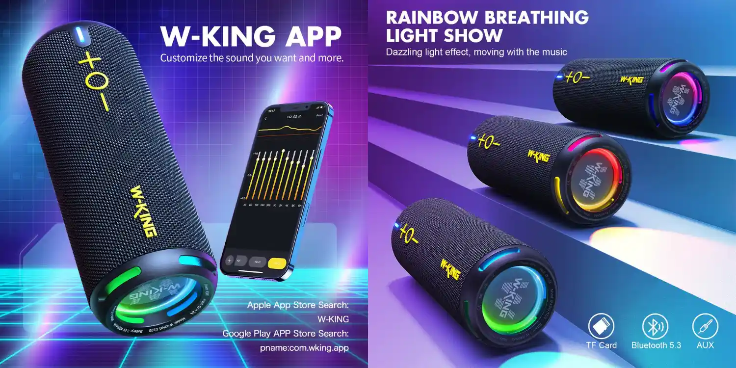 W-KING D320 40W Speaker
