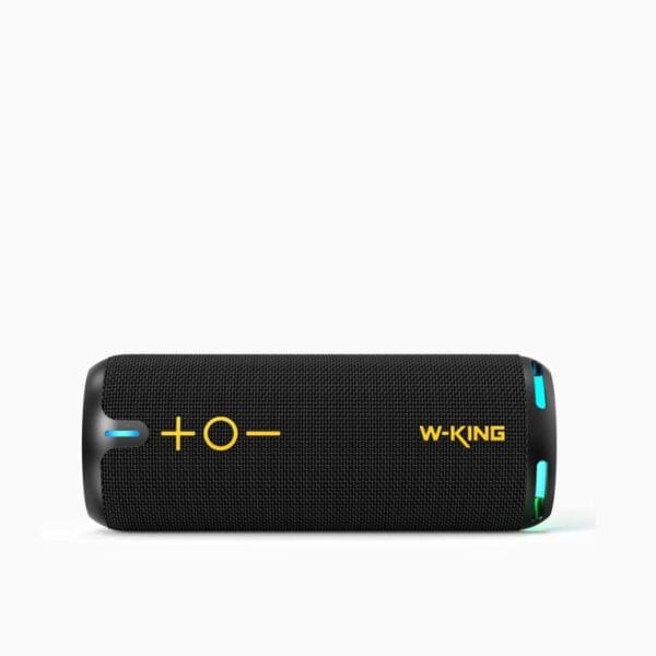 W-KING D320 40W Speaker