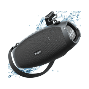 W-KING X10 120W Outdoor Speaker